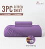 Purple Solid 400 TC Cotton Queen Sized Fitted sheet with 2 Pillow Covers