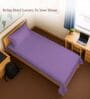 Purple Solid 400 TC Cotton Single Sized Bedsheet with 1 Pillow Cover