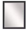 Synthetic Wood Rectangle Wall Mirror in Purple colour