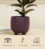 Pebble Purple Terracotta Desk Pot