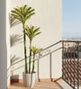 Green PVC Artificial Trio Bromeliad Plant Without Pot