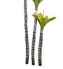 Green PVC Artificial Trio Bromeliad Plant Without Pot