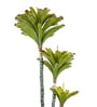 Green PVC Artificial Trio Bromeliad Plant Without Pot