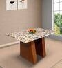 Pyramid 4 Seater Marble Top Dining Table in Multi Colour
