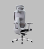 Bravo Fabric Ergonomic Chair in Grey Colour with Headrest