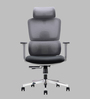 Bravo Fabric Ergonomic Chair in Grey Colour with Headrest
