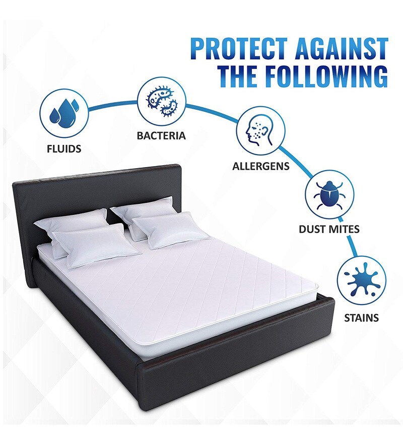 Buy Quilted Cotton (72x72) King Size Mattress Protector by Springtek