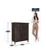 Quad-Pace 2 Door Shoe Cabinet in Dark Brown Colour