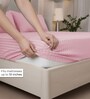 Quarts Pink Stripe 300 TC Pure Cotton King Fitted Bedsheet with 2 Pillow Covers