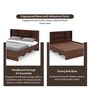 Quasar King Size Bed in Brown Color