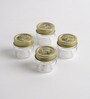 Quattro Stagioni 40 ml Transparent Glass (Set of 4) Jars and Containers
