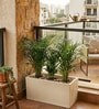 Cream Quebec Rectangular Molded 24 Inch Planter