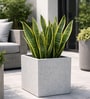 White Quebec Square White 12 Outdoor Planter Pot