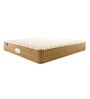 Queen Size (75 x 66 ) 4.5 Inch Firm Bonnell Spring & Foam Orthopedic Collection Mattress