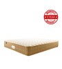 Queen Size (75 x 66 ) 4.5 Inch Firm Bonnell Spring & Foam Orthopedic Collection Mattress