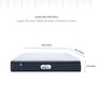 Queen Size (78 x 66 ) 6 Inch Medium Firm Bonnell Spring & Foam ProActive Plus Collection Mattress