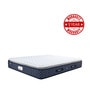 Queen Size (78 x 66 ) 6 Inch Medium Firm Bonnell Spring & Foam ProActive Plus Collection Mattress