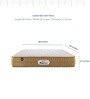 Queen Size (80 x 60 ) 4.5 Inch Firm Bonnell Spring & Foam Orthopedic Collection Mattress