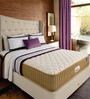 Queen Size (80 x 60 ) 4.5 Inch Firm Bonnell Spring & Foam Orthopedic Collection Mattress