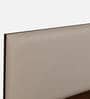 Michi Queen Size Upholstered Bed In Walnut Colour With Box Storage