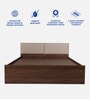 Michi Queen Size Upholstered Bed In Walnut Colour With Box Storage