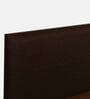 Michi Queen Size Upholstered Bed In Dark Brown & Walnut Colour With Box Storage