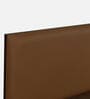 Michi Queen Size Upholstered Bed In Tan Leatherette & Walnut Colour With Box Storage
