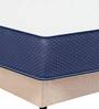 Quilted EPE Foam 6 inch Memory Foam Queen Size Mattress in Blue & White Colour