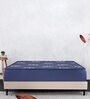 Quilted EPE Foam 6 inch Memory Foam Single Mattress in Blue Colour