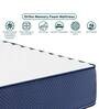 Quilted EPE Foam 6 inch Memory Foam Single Mattress in Blue & White Colour