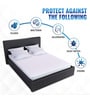 Quilted (78x36) Cotton  Single Size Mattress Protector in White Colour