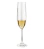 Quintessential Champagne Glass