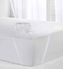 Alexa Cotton (36 x78) Queen Size Mattress Protector