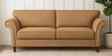 Rana Fabric 3 Seater Sofa in Copper Brown Color