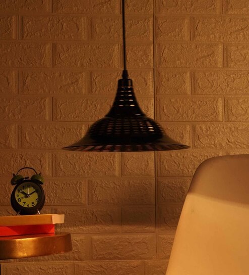 Raven Black Metal Hanging Light