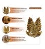 (1Pc) Gold Metal Radha Krishna Idol & Figurine For Home Temple