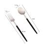 Radiant (Set of 12) Black Colour Stainless Steel Spoon & Fork