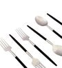 Radiant (Set of 12) Black Colour Stainless Steel Spoon & Fork