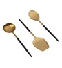 Radiant (Set of 3) Black Colour Stainless Steel Serving Spoon