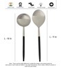 Radiant (Set of 3) Black Colour Stainless Steel Serving Spoon