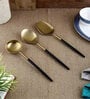Radiant (Set of 3) Black Colour Stainless Steel Serving Spoon