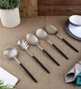 Radiant (Set of 5) Black Colour Stainless Steel Serving Spoon