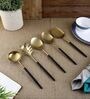 Radiant (Set of 5) Black Colour Stainless Steel Serving Spoon