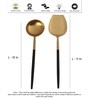 Radiant (Set of 5) Black Colour Stainless Steel Serving Spoon
