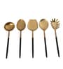 Radiant (Set of 5) Black Colour Stainless Steel Serving Spoon