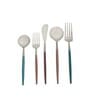 Radiant Multicolour Stainless Steel (Set of 5) Cutlery Set