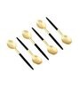 Radiant (Set of 6) Black Colour Stainless Steel Tea Spoon