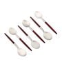 Radiant Red Stainless Steel (Set of 6) Tea Spoon