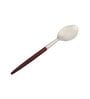 Radiant Red Stainless Steel (Set of 6) Tea Spoon