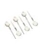 Radiant White Stainless Steel (Set of 6) Tea Spoon
